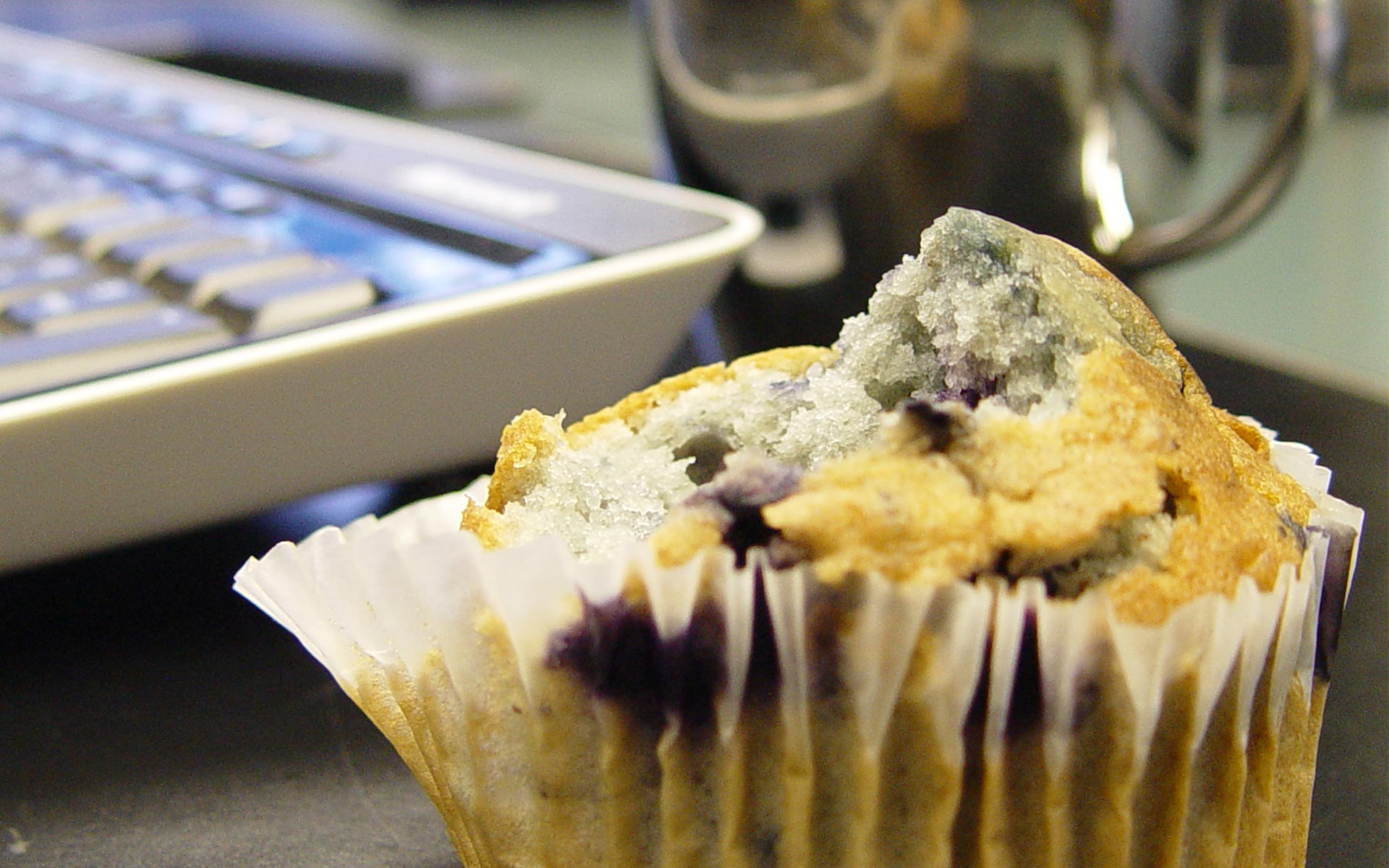 Blueberry Muffin