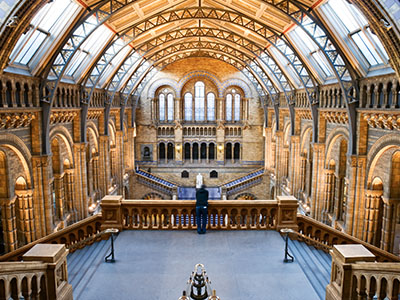 Natural History Museum